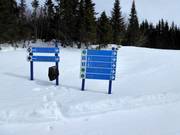 Pistenausschilderung im Skigebiet Le Mont Grand-Fonds