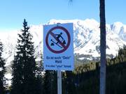 Es ist auch Dein Wald