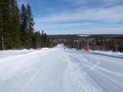 Perfekt zum Üben: Skogsmusslingan