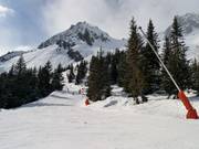 Schneilanzen im Skigebiet von Brévent-Flégère