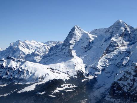 Jungfrau Region: Größe der Skigebiete – Größe Kleine Scheidegg/Männlichen – Grindelwald/Wengen