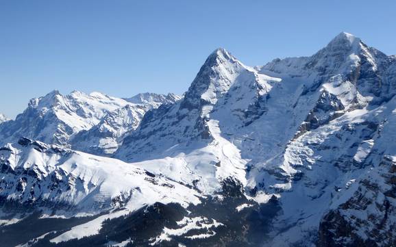 Skifahren in der Jungfrau Region