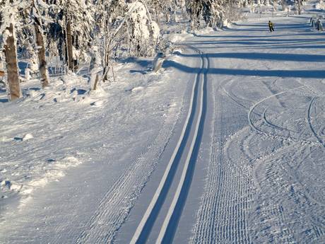 Langlauf Erzgebirge – Langlauf Fichtelberg – Oberwiesenthal