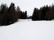 Mittelschwere Talabfahrt Nr. 4