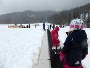 Förderband und Seillift erschließen ganz flache Pisten im Hirschzwergland