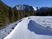 Wellenbahn am Dreitannenlift