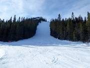 Schwere Buckeliste Vargtjutet (Skiroute)