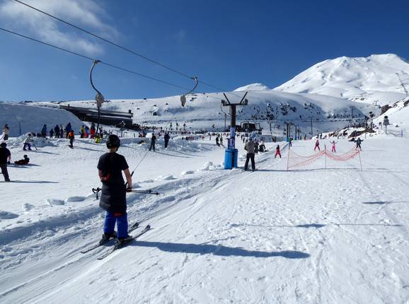 Alpine Meadow Platter