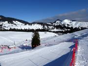 Freeridecross-Strecke