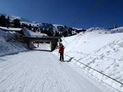 Maulwurf - Seillift/Babylift mit niederer Seilführung