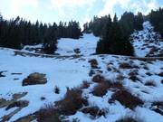 Abfahrten hinunter in die Blueberry Bowl