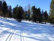 Höhenloipe an der Bergstation der 10er-Gondelbahn