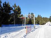 Patyczak (Transit Nartorama-Winterpol) (N5) - Tellerlift