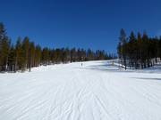Mittelschwere Piste W.2