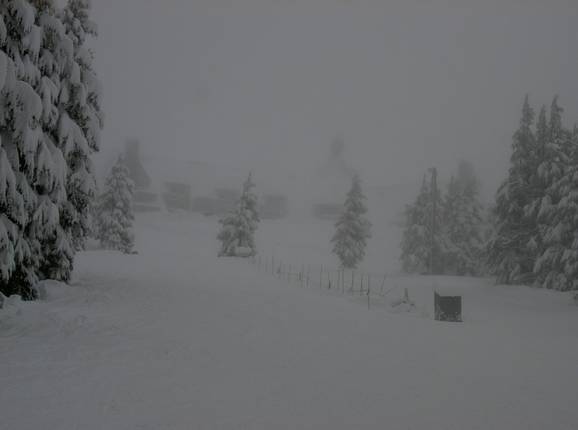 Piste im Skigebiet Timberline