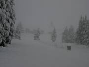 Piste im Skigebiet Timberline