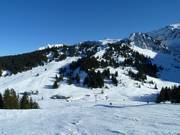 Blick über das Skigebiet Mellau