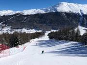 Piste an der Gondelbahn Carosello 3000