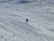 Carving-Träume werden wahr!