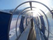 Förderband Palabione