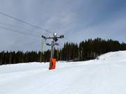 Barnliften - Tellerlift