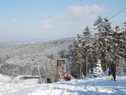 Steinbrinklift I - Schlepplift mit T-Bügel/Anker
