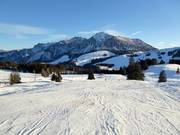 Leichte Panoramapiste