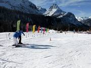 Anfängergelände auf der Ehrwalder Alm