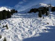 Buckelpiste an der Steinmannbahn