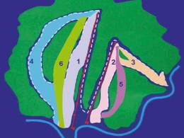 Skigebiet Zolotaya Gora