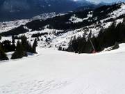 Frommes Extrem (Fiss)