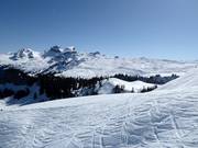 Blick über das Skigebiet Hoch-Ybrig vom Laucherenstöckli