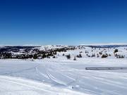 Blick vom Fjellheisen zum Kvitfjellet (1044 m)