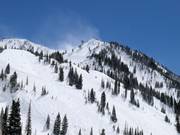 Pisten in der Peruvian Gulch