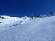Schwarze Piste an der Leppleskofelbahn