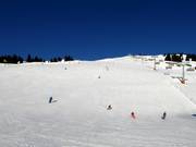 Breite Piste am Hasenauer Köpfl