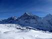 Jungfrau Region: Testberichte von Skigebieten – Testbericht First – Grindelwald