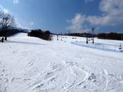 Leichte Piste Junior