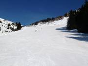 Breite Piste am Walmendingerhorn
