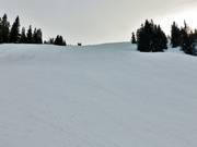 Mittelschwere Muldenliftpiste Ost