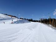 Anfängerpiste Bärenhang