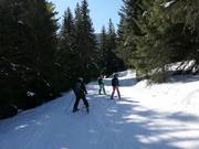 Leichter Sitnyakovo King's Cottage Ski Way