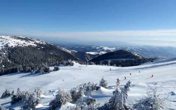 Serbien: Testberichte von Skigebieten – Testbericht Kopaonik