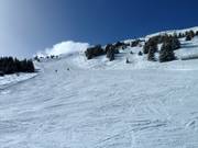 Abfahrt vom Piz Scalottas