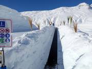 Hexenland 4 - Förderband/Zauberteppich