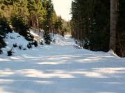 Talabfahrt zur Hungerburg