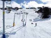 Blaxland T-Bar - Schlepplift mit T-Bügel/Anker