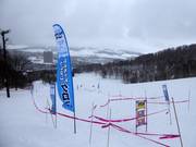 Crayon Shinchan Cross