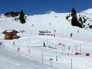 Tipp für die Kleinen  - Kinderübungsgelände der Skischule Krallinger