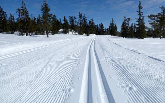 Langlauf Hedmark – Langlauf Trysil